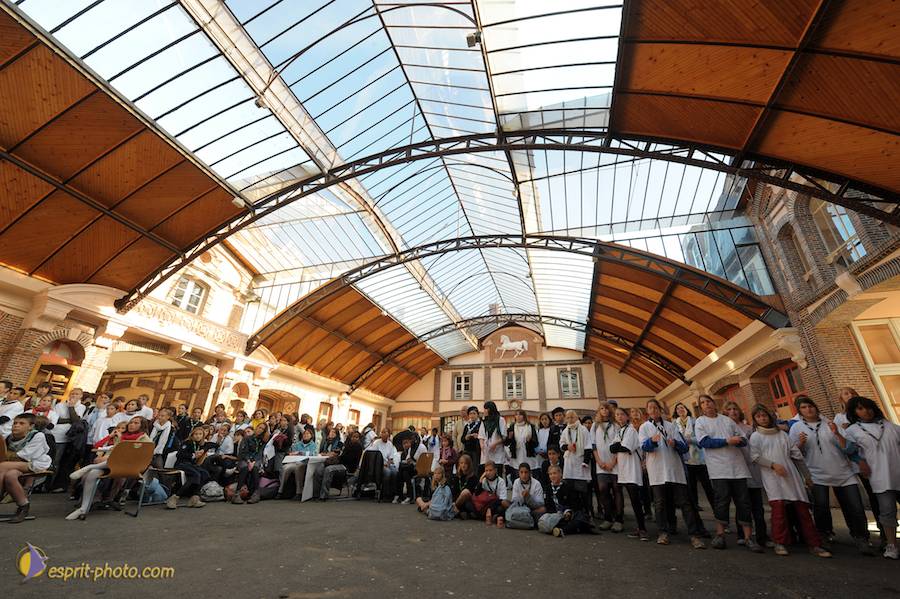 Nom de l'image : D30083807_1_(c)Norbert-JUNG — Description :